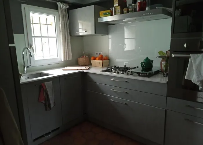 Lulu * Castelmoron-sur-Lot